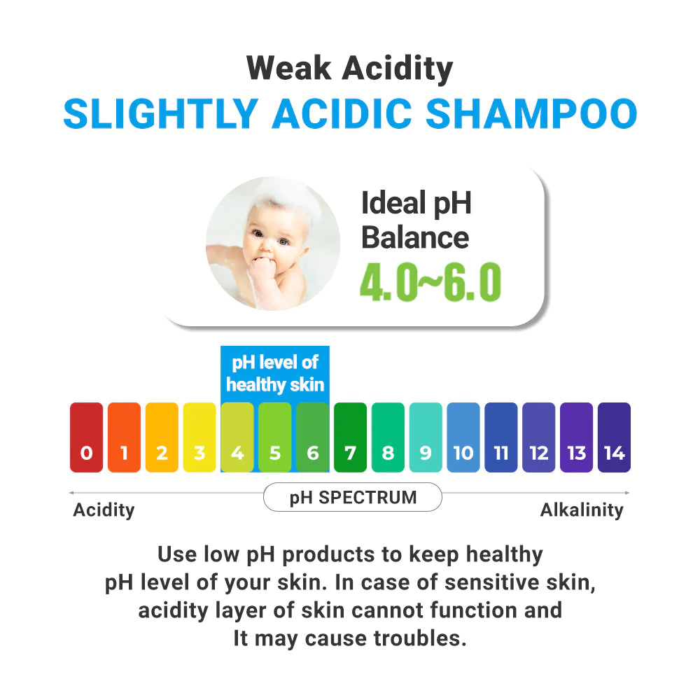 Best itchy scalp shampoo